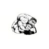 5 Pack - Oval Sticker 3 1/2 Thumbnail