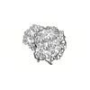 5 Pack - Oval Sticker 3 1/2 Thumbnail