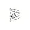 5 Pack - Oval Sticker 3 1/2 Thumbnail