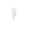 5 Pack - Oval Sticker 3 1/2 Thumbnail