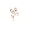 5 Pack - Oval Sticker 3 1/2 Thumbnail