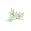 5 Pack - Oval Sticker 3 1/2 Thumbnail