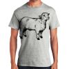 Ultra Cotton ® 100% Cotton T Shirt with Pocket Thumbnail
