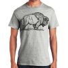 Ultra Cotton ® 100% Cotton T Shirt with Pocket Thumbnail