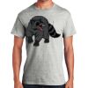 Ultra Cotton ® 100% Cotton T Shirt with Pocket Thumbnail