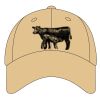 Sport Flex Athletic Mesh Cap Thumbnail
