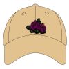 Sport Flex Athletic Mesh Cap Thumbnail