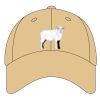 Sport Flex Athletic Mesh Cap Thumbnail