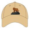 Sport Flex Athletic Mesh Cap Thumbnail