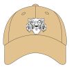 Sport Flex Athletic Mesh Cap Thumbnail