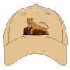 Sport Flex Athletic Mesh Cap Thumbnail
