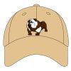 Sport Flex Athletic Mesh Cap Thumbnail