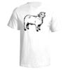 Next Level Men's Premium Fitted Sueded Crew T-Shirt Thumbnail