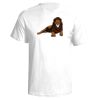Next Level Men's Premium Fitted Sueded Crew T-Shirt Thumbnail
