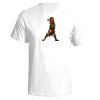 Next Level Men's Premium Fitted Sueded Crew T-Shirt Thumbnail