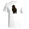 Next Level Men's Premium Fitted Sueded Crew T-Shirt Thumbnail