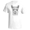 Next Level Men's Premium Fitted Sueded Crew T-Shirt Thumbnail
