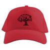 Baseball Caps Thumbnail