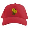 Baseball Caps Thumbnail