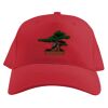 Baseball Caps Thumbnail