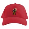 Baseball Caps Thumbnail