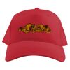 Baseball Caps Thumbnail