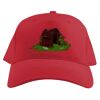 Baseball Caps Thumbnail