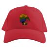 Baseball Caps Thumbnail