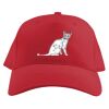 Baseball Caps Thumbnail