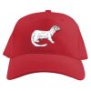 Baseball Caps Thumbnail
