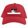 Baseball Caps Thumbnail