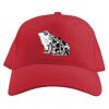 Baseball Caps Thumbnail