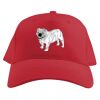 Baseball Caps Thumbnail