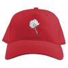 Baseball Caps Thumbnail