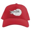Baseball Caps Thumbnail