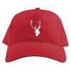 Baseball Caps Thumbnail