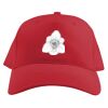 Baseball Caps Thumbnail