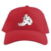 Baseball Caps Thumbnail