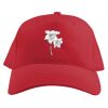 Baseball Caps Thumbnail