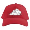 Baseball Caps Thumbnail