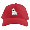 Baseball Caps Thumbnail