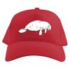 Baseball Caps Thumbnail