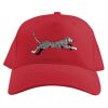 Baseball Caps Thumbnail