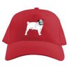 Baseball Caps Thumbnail