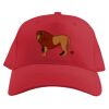 Baseball Caps Thumbnail