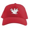 Baseball Caps Thumbnail