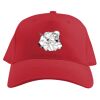 Baseball Caps Thumbnail