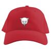 Baseball Caps Thumbnail