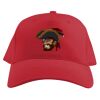Baseball Caps Thumbnail