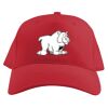 Baseball Caps Thumbnail